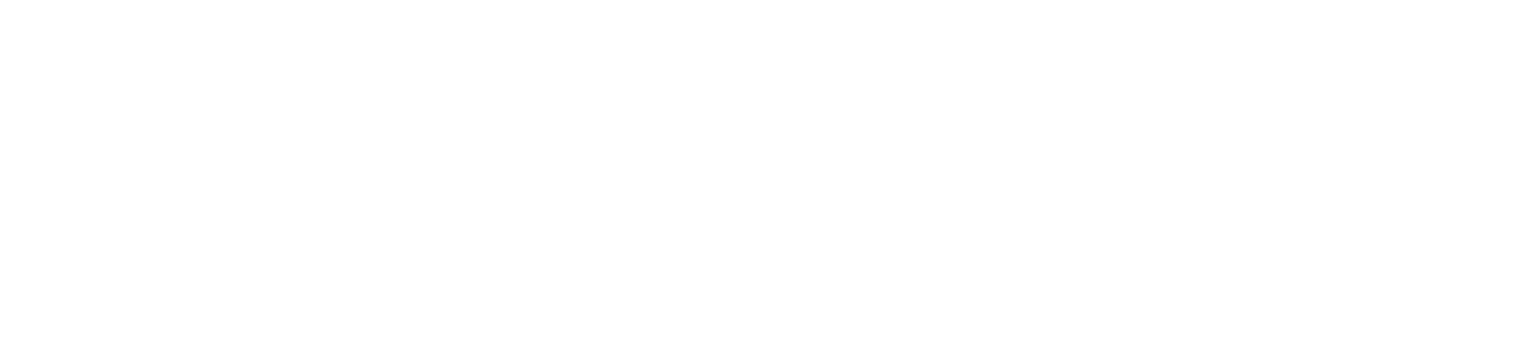 SCHENKSI Digital